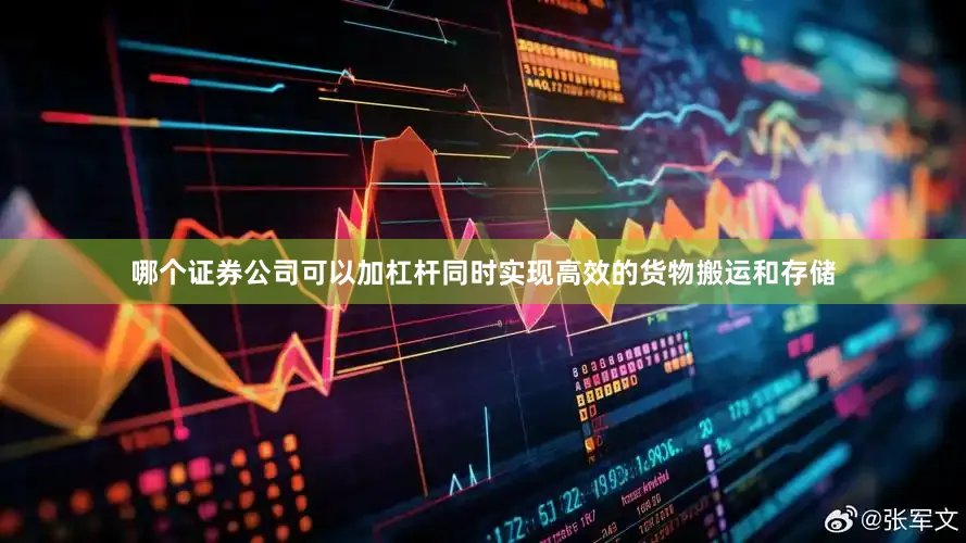 哪个证券公司可以加杠杆同时实现高效的货物搬运和存储
