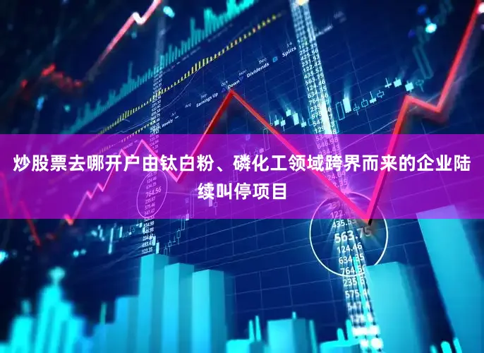 炒股票去哪开户由钛白粉、磷化工领域跨界而来的企业陆续叫停项目