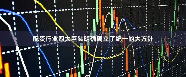 配资行业四大巨头明确确立了统一的大方针