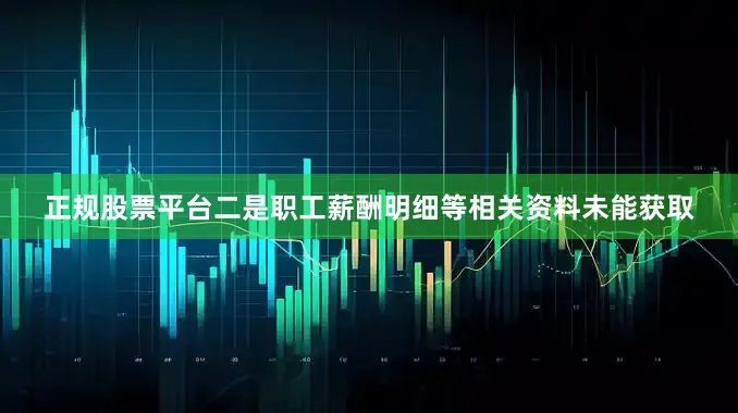 正规股票平台二是职工薪酬明细等相关资料未能获取