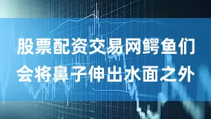 股票配资交易网鳄鱼们会将鼻子伸出水面之外