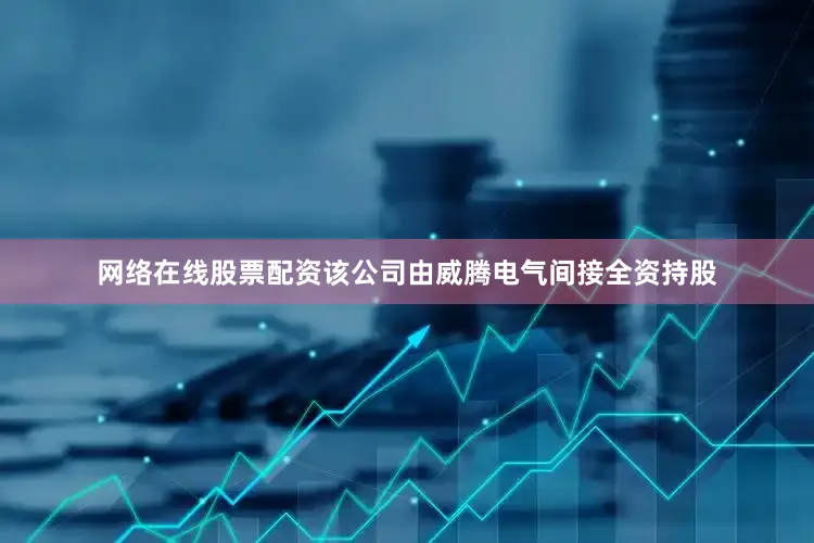 网络在线股票配资该公司由威腾电气间接全资持股