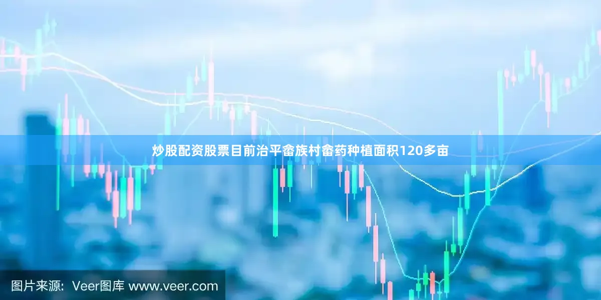 炒股配资股票目前治平畲族村畲药种植面积120多亩