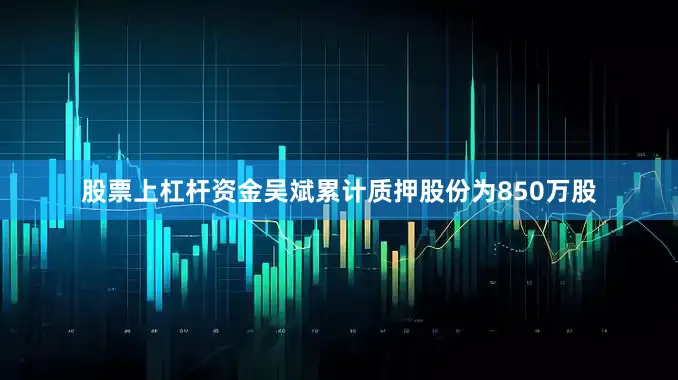 股票上杠杆资金吴斌累计质押股份为850万股