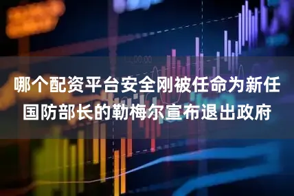 哪个配资平台安全刚被任命为新任国防部长的勒梅尔宣布退出政府